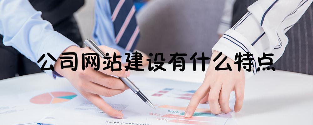 公司網(wǎng)站建設(shè)有什么特點